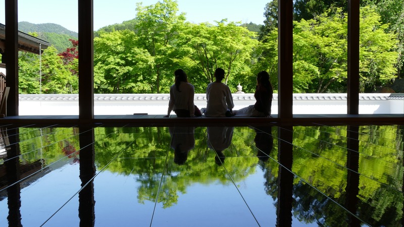 新緑の特別公開 宝徳寺の床もみじ 風光明媚な絶景を訪ねる