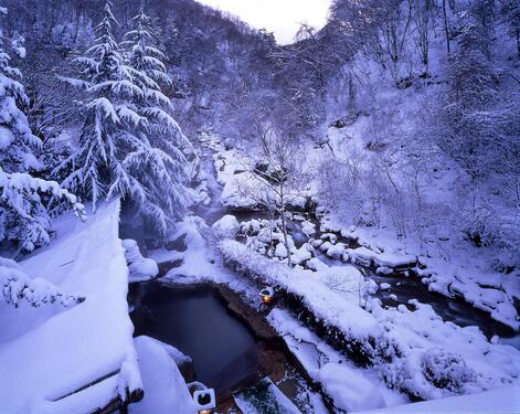 源泉かけ流し　雪見の絶景露天風呂でほっこり♪渓谷の一軒宿　　「横谷温泉旅館」