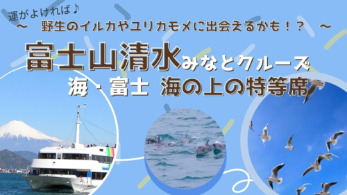 富士山を海の特等席で！富士山清水みなとクルーズ 駿河湾の絶景と清水まぐろ三昧