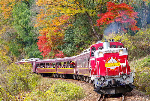 紅葉のわたらせ渓谷鐵道　～車窓に広がる美しい紅葉～