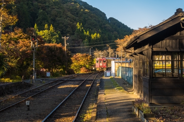 紅葉のわたらせ渓谷鐵道　～車窓に広がる美しい紅葉～