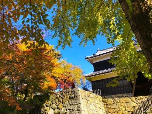 信州へ松茸を食べに行こう！創業昭和26年の老舗 松茸山二幸園 秋の松茸尽くし