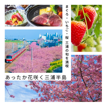 まぐろ・いちご・桜！三浦の旬を満喫　あったか花咲く三浦半島へ