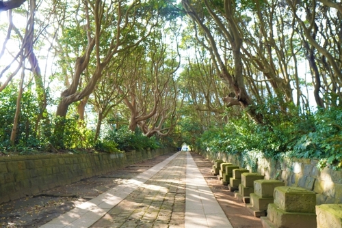 運気ＵＰ！常陸巡礼の旅　2024最強パワースポット泉神社＆酒列磯前神社